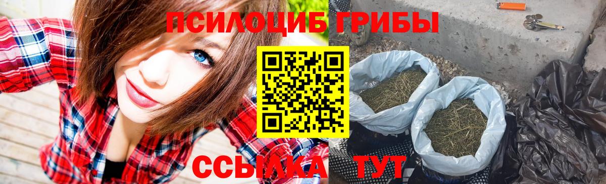 Псилоцибиновые грибы ЛСД Видное